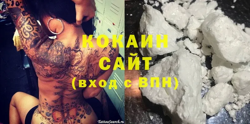 продажа наркотиков  Венёв  COCAIN FishScale 